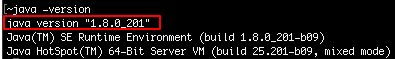 java_version_cmd.png